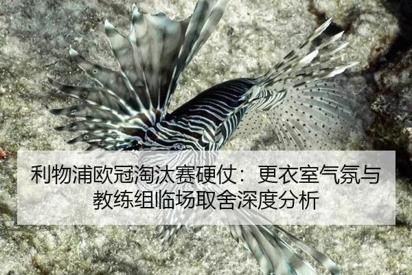 利物浦欧冠淘汰赛硬仗：更衣室气氛与教练组临场取舍深度分析